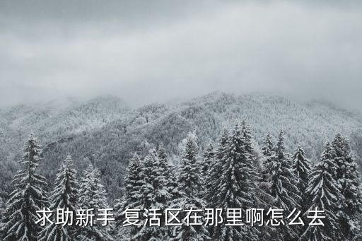 求助新手 复活区在那里啊怎么去
