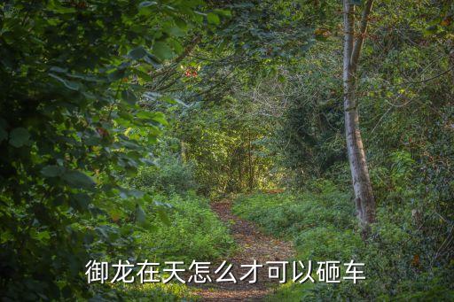 御龙在天怎么才可以砸车