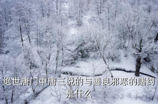 绝世唐门中唐三说的与善良邪恶的赌约是什么