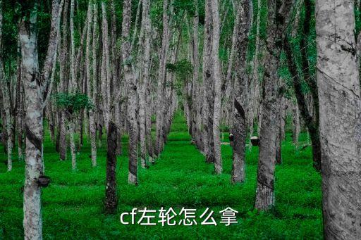 cf左轮怎么拿
