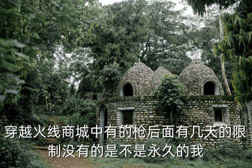 cf手游精通了非永久武器怎么办，无视改版 武器精通的无视怎么办