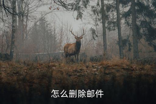 怎么删除邮件