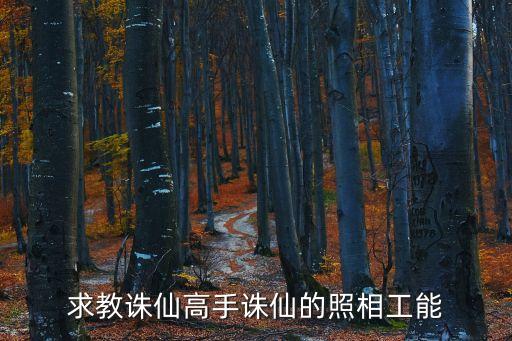 诛仙手游沧海澜客绘卷怎么拍照，诛仙手游新绘卷怎么做