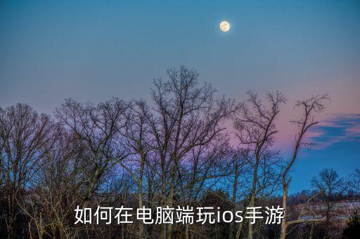 如何在电脑端玩ios手游