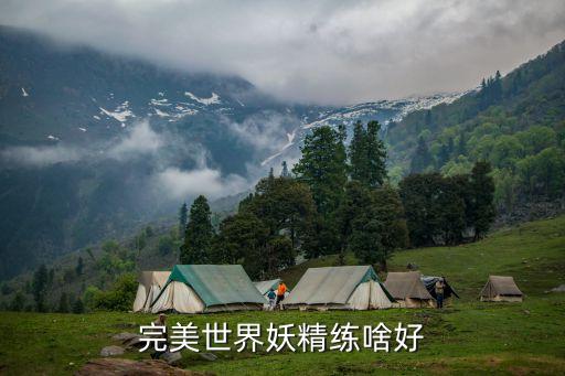 手游完美世界中妖精该怎么选天书，完美世界国际版天书哪些适合我请看一下