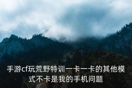 手游cf玩荒野特训一卡一卡的其他模式不卡是我的手机问题