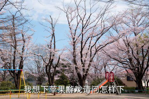 我想下苹果游戏请问怎样下