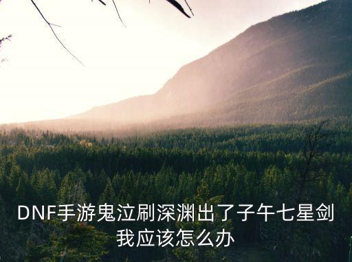 DNF手游鬼泣刷深渊出了子午七星剑我应该怎么办