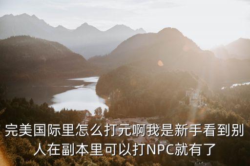 完美国际里怎么打元啊我是新手看到别人在副本里可以打NPC就有了