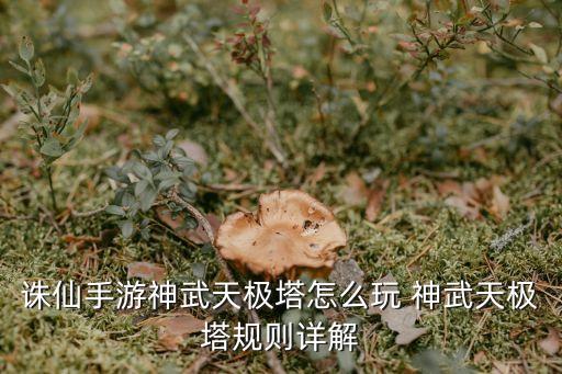 诛仙手游神武塔怎么玩，诛仙手游神武天塔通关阵容怎么搭配