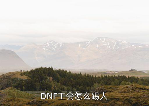 DNF工会怎么踢人