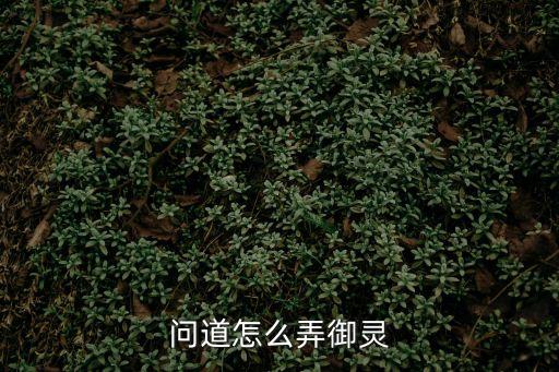 问道手游怎么获得御魂，问道御灵怎样获得啊具体怎么操作