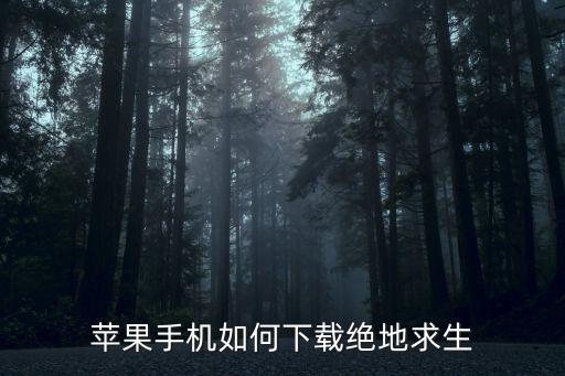 pubg2手游怎么下载ios，手游版绝地求生怎么下载叫什么名字苹果手机能下载吗