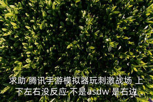 求助 腾讯手游模拟器玩刺激战场 上下左右没反应 不是asdw 是右边