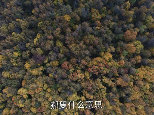 郝叟什么意思