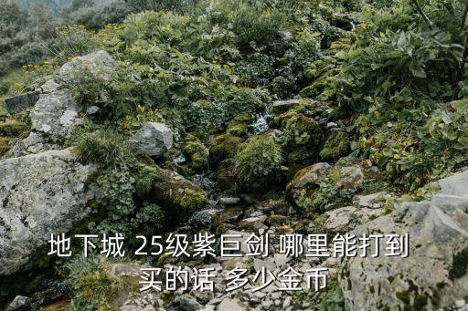 地下城手游韩服紫巨剑怎么买，地下城与勇士里怎样得到25J以上的紫巨剑