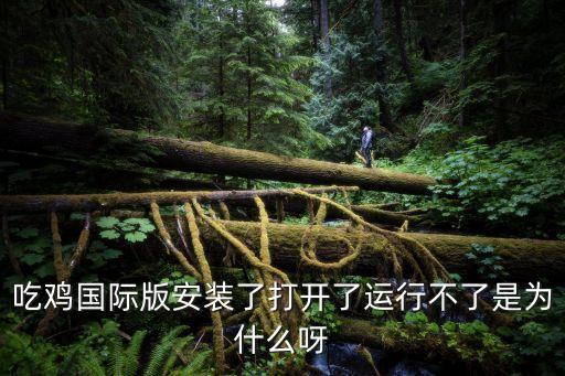 吃鸡国际版安装了打开了运行不了是为什么呀