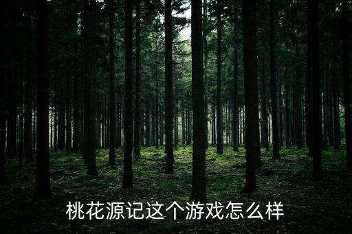 桃花源记这个游戏怎么样