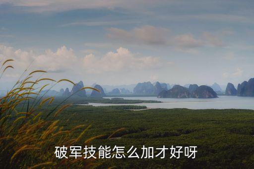 破军技能怎么加才好呀
