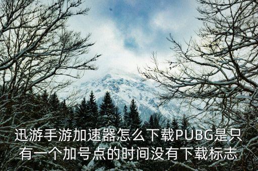 迅游手游加速器怎么下载PUBG是只有一个加号点的时间没有下载标志