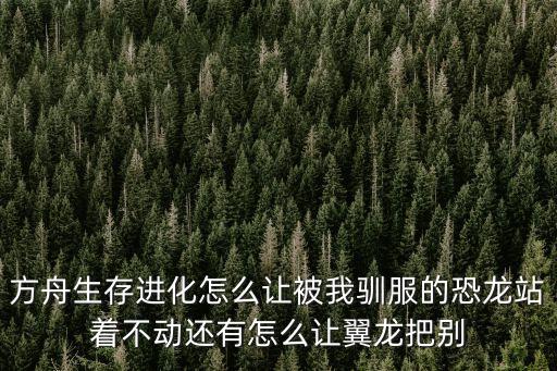 方舟生存进化手游怎么困住，为什么我玩方舟生存进化进游戏就卡住不动了