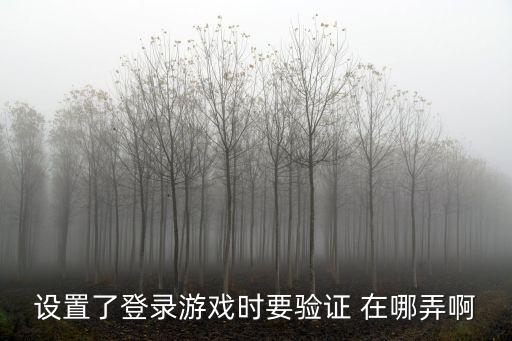 设置了登录游戏时要验证 在哪弄啊