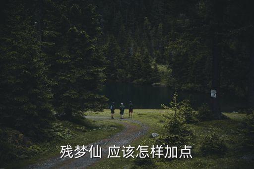 手游残梦仙怎么加点，大话西游手游仙怎么加点好我是平民玩家又不能不想太垃圾