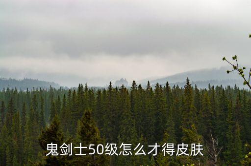 鬼剑士50级怎么才得皮肤