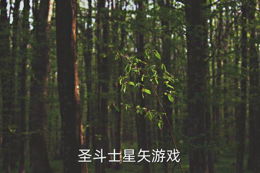 圣斗士星矢游戏