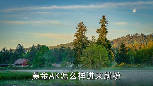 黄金AK怎么样进来就粉