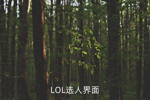 英雄联盟手游选人界面怎么看，LOL选人界面