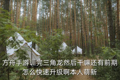 方舟手游训完三角龙然后干嘛还有前期怎么快速升级啊本人萌新