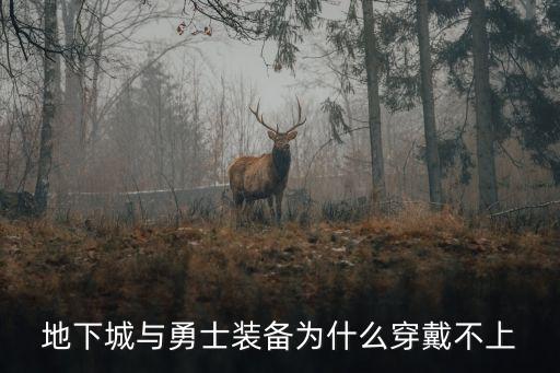 地下城与勇士装备为什么穿戴不上
