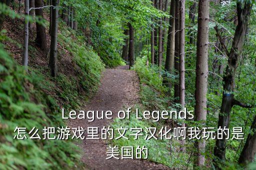 League of Legends 怎么把游戏里的文字汉化啊我玩的是美国的