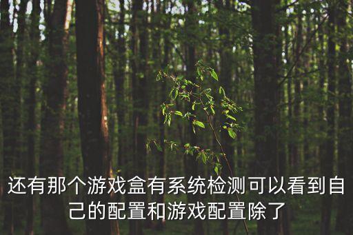 还有那个游戏盒有系统检测可以看到自己的配置和游戏配置除了