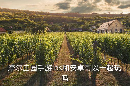 摩尔庄园手游ios和安卓可以一起玩吗