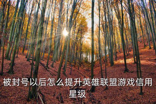 被封号以后怎么提升英雄联盟游戏信用星级