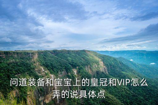 问道装备和宝宝上的皇冠和VIP怎么弄的说具体点