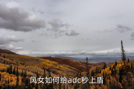 风女如何给adc秒上盾
