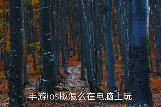 手游ios版怎么在电脑上玩