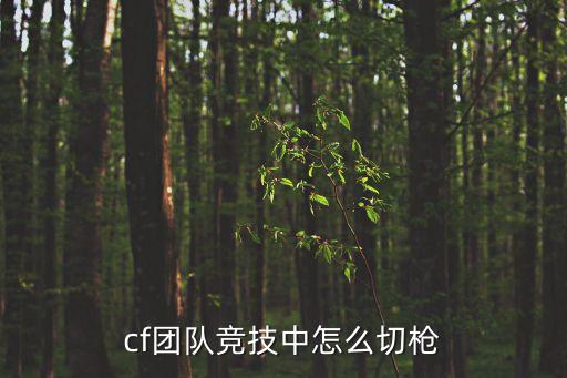 cf团队竞技中怎么切枪