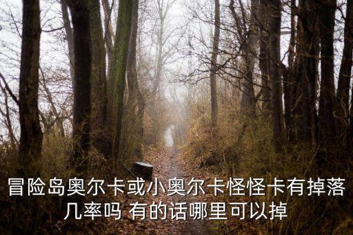 冒险岛奥尔卡或小奥尔卡怪怪卡有掉落几率吗 有的话哪里可以掉