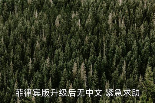 菲律宾版升级后无中文 紧急求助