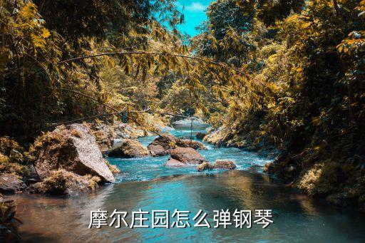 摩尔庄园怎么弹钢琴