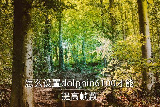 怎么设置dolphin6100才能提高帧数