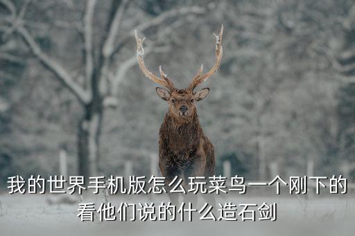 我的世界手机版怎么玩菜鸟一个刚下的看他们说的什么造石剑