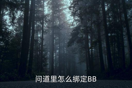 问道里怎么绑定BB