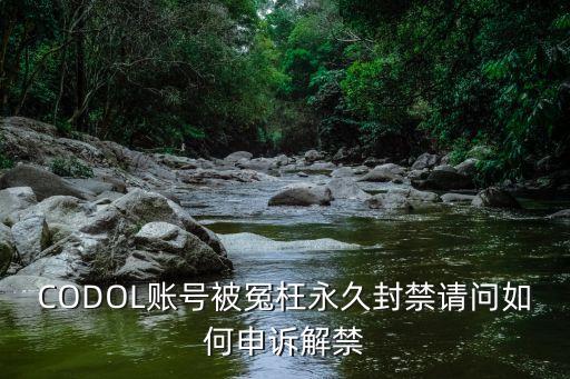 使命召唤手游违规怎么解封，我有个账号被封禁了请问怎么破
