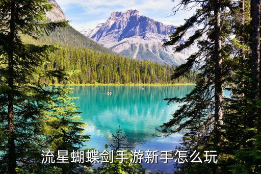 流星蝴蝶剑手游新手怎么玩