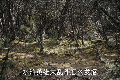 水浒英雄大乱斗怎么发招